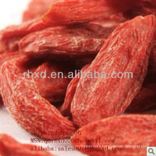 new crop dried goji berry from China good farmer